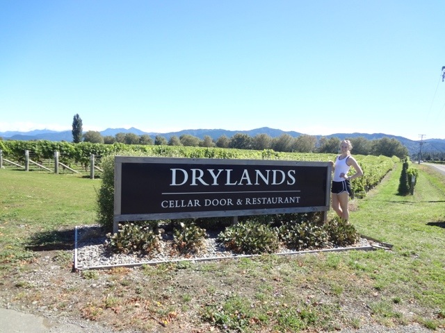 Drylands Wines